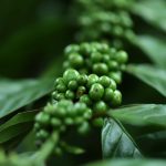 I Turned My Home Into a Fortress of Surveillance I Turned My Home Into a Fortress of Surveillance